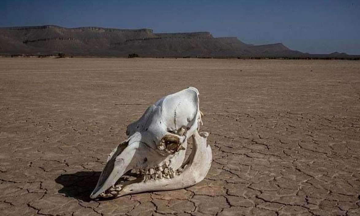 气候变化可能会导致人均寿命减少半年？