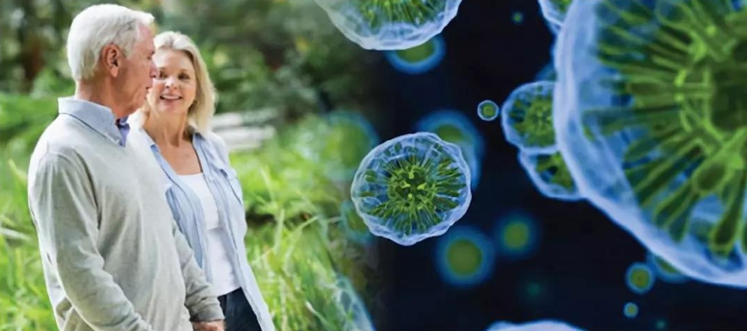 南京大学生命科学学院发现年轻血液中隐藏的抗衰老钥匙