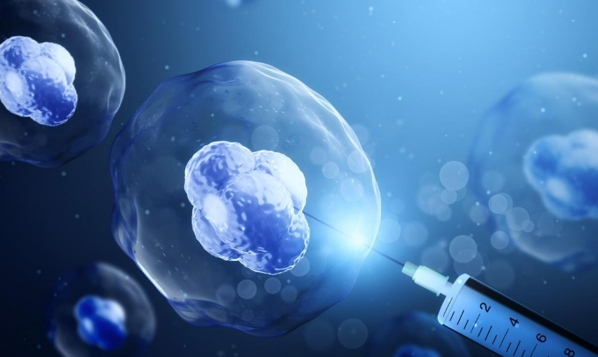 人体万用细胞：干细胞的五大功能，广阔的医学应用前景！