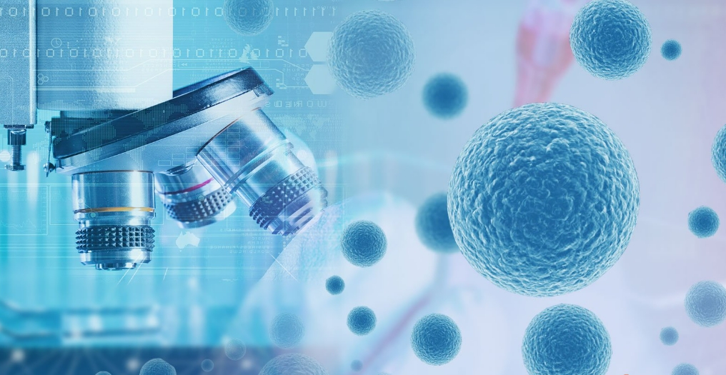 干细胞和AI融合或成未来发展趋势，2025年被称为中国干细胞商业化应用的元年