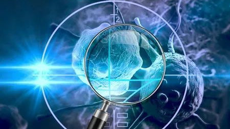 诱导细胞进行不同方式死亡，在靶向药物抗肿瘤的应用前景分析