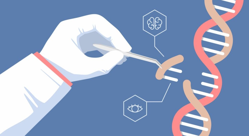 复旦打新创新基因编辑技术，眼病有望“一针式”干预