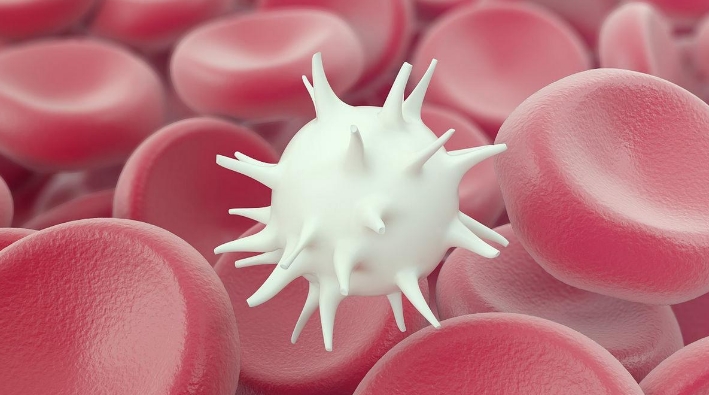 体检白细胞偏低怎么办？白细胞偏低原因原因是什么？