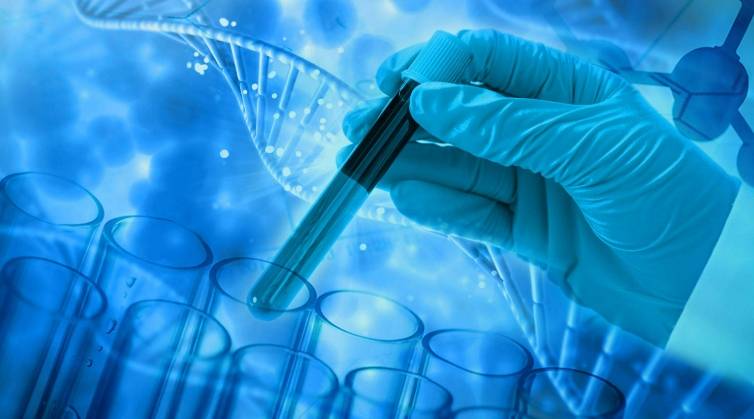 干细胞：改写医学未来的“生命工程师”