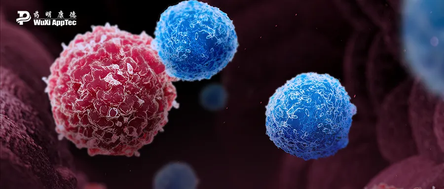 CAR-T细胞疗法：自身免疫疾病的治愈希望