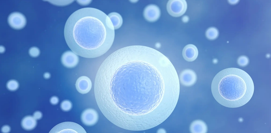 细胞永生的4种方法，有助于实现人类永生吗？