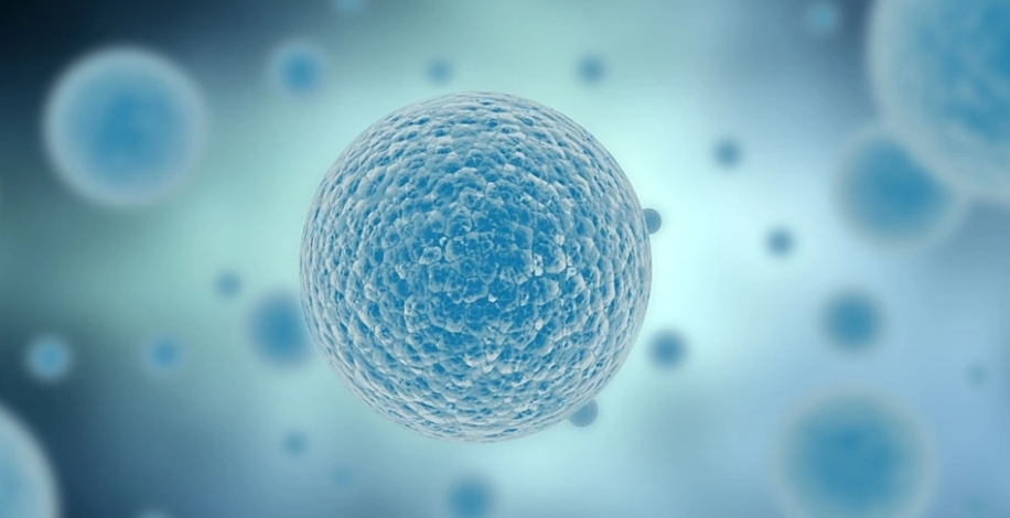 间充质干细胞的作用和功效，间充质干细胞可以治疗哪些疾病？