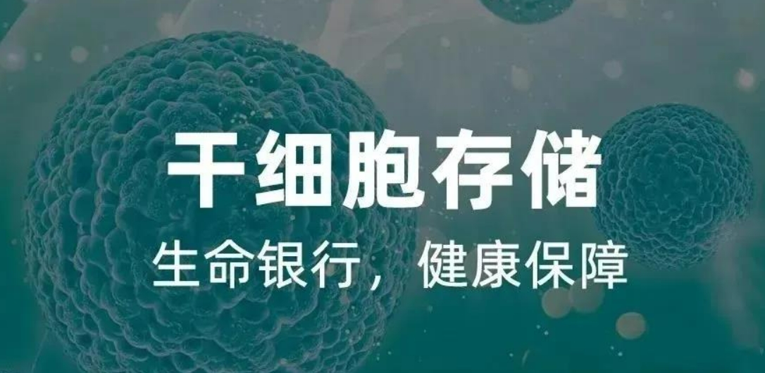 干细胞存储可以助力老年人老而不病？